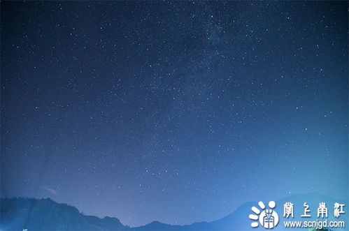 (仰望星空的画家)穿梭在画中世界的游民，仰望星空寻找归属