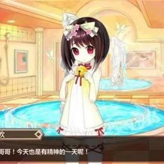 (幻域神姬怎么玩)探寻幻域神姬攻略，打造绝世奇兵，征服全新的冒险世界