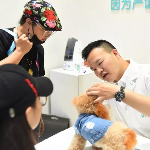 (疯狂宠物城宠物店怎么样)疯狂宠物诊所：为您的宠物提供全方位的医疗护理和爱心关怀
