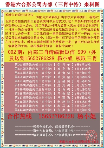 新澳门118开奖现场|专业数据解释落实_潜能集.4.197